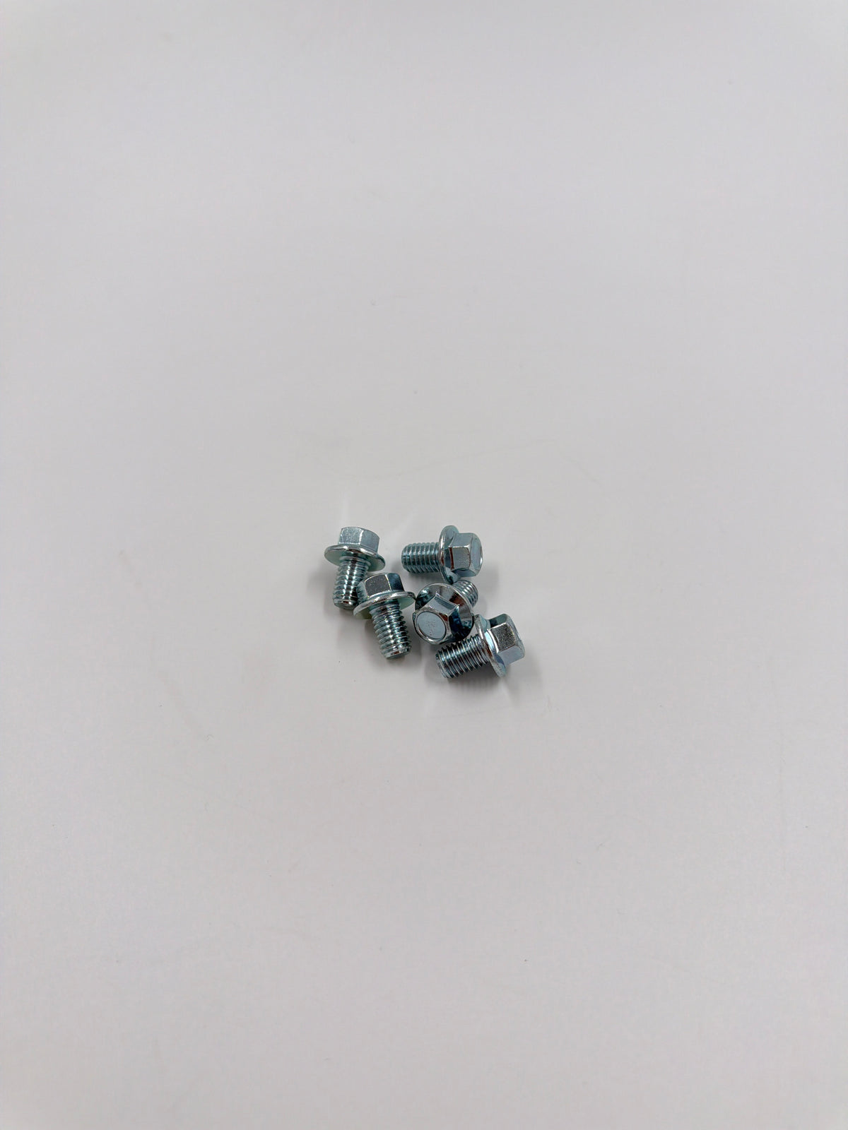 Gearbox Drain Bolt 8mm — V-Series (OEM)